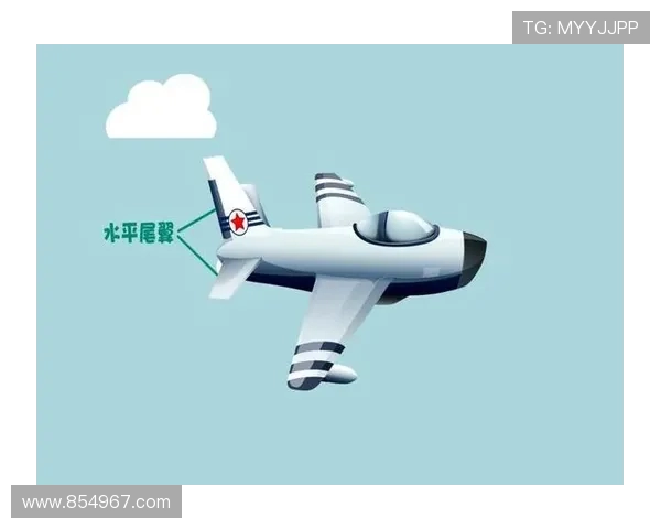 飞机机身结构的抗鸟击性能